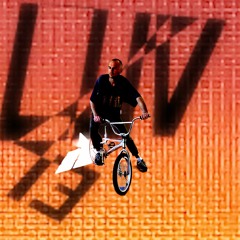 Luv 13