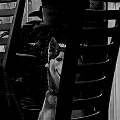 MICHAEL MYERS NLS X KBANDZ X WOK