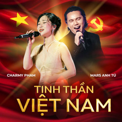 TINH THẦN VIỆT NAM