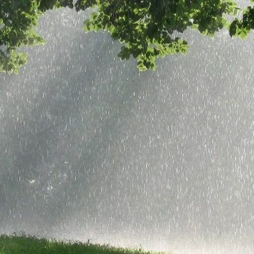 Summer Rain 2