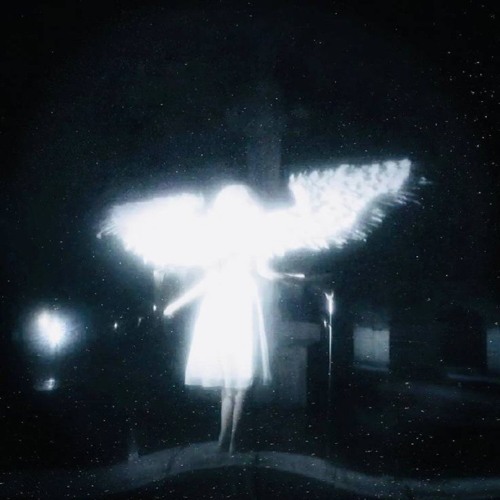 Glass Wings (Sped Up)