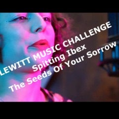 SPITTING IBEX - The Seeds Of Your Sorrow (Spiros Poullos) - LEWITT MUSIC CHALLENGE