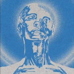 PHOENIX-ELEMENT – AURA (SOLSTICE Contest)