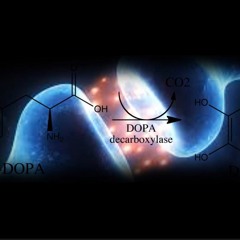 - L-DOPA (Levodopa) - Binaural Brain Doping (Motivation, Happiness, Improved Cognitive Functions)