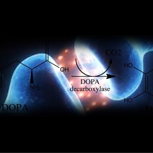 - L-DOPA (Levodopa) - Binaural Brain Doping (Motivation, Happiness, Improved Cognitive Functions)