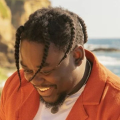 IVANDRO - Beijo Roubado - DJ LEX (remix)