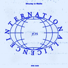 Shuray & Walle - 990 PRO (Lea Lisa Mental 303 Remix)