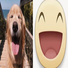 baby i’m in the boof (p. saddevit0)