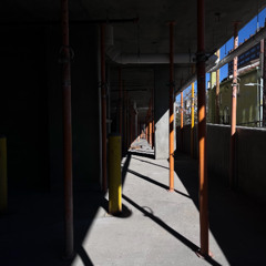 Balsam Drv XFiiiniiityy