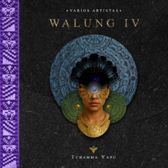 PREMIERE: Somko - Bee Zion