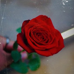 "A Love Letter, from Notir!" (prod. pandrs)