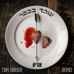 אודיה - עובד בכפר (TOM HOROW REMIX) (EXTENDED)