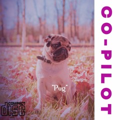 Pug