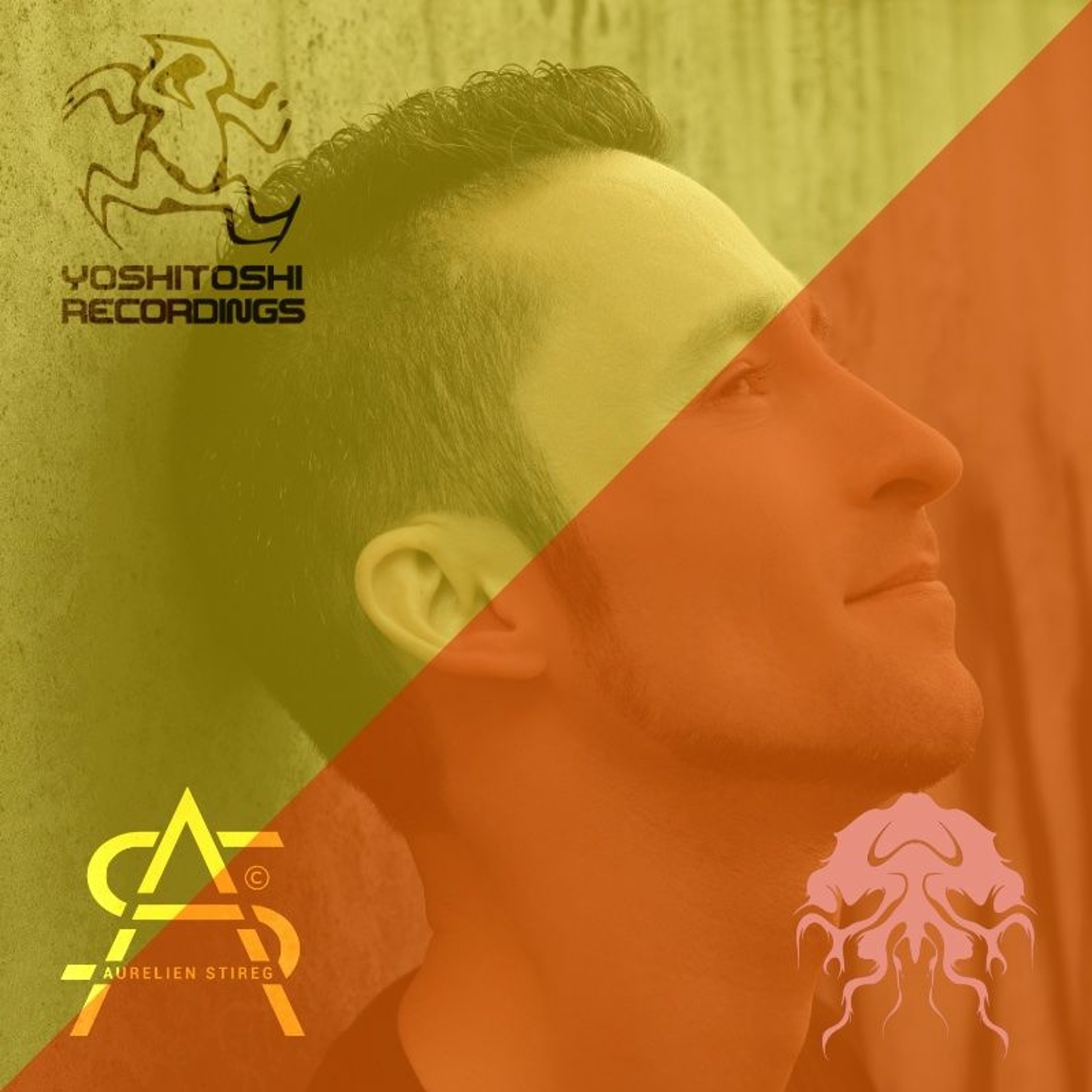 Aurelien Stireg