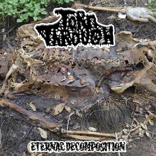 Crushed and Mangled (album)