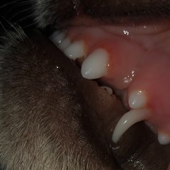 WITHOUT YOU ON MY MIND (F141 remix)