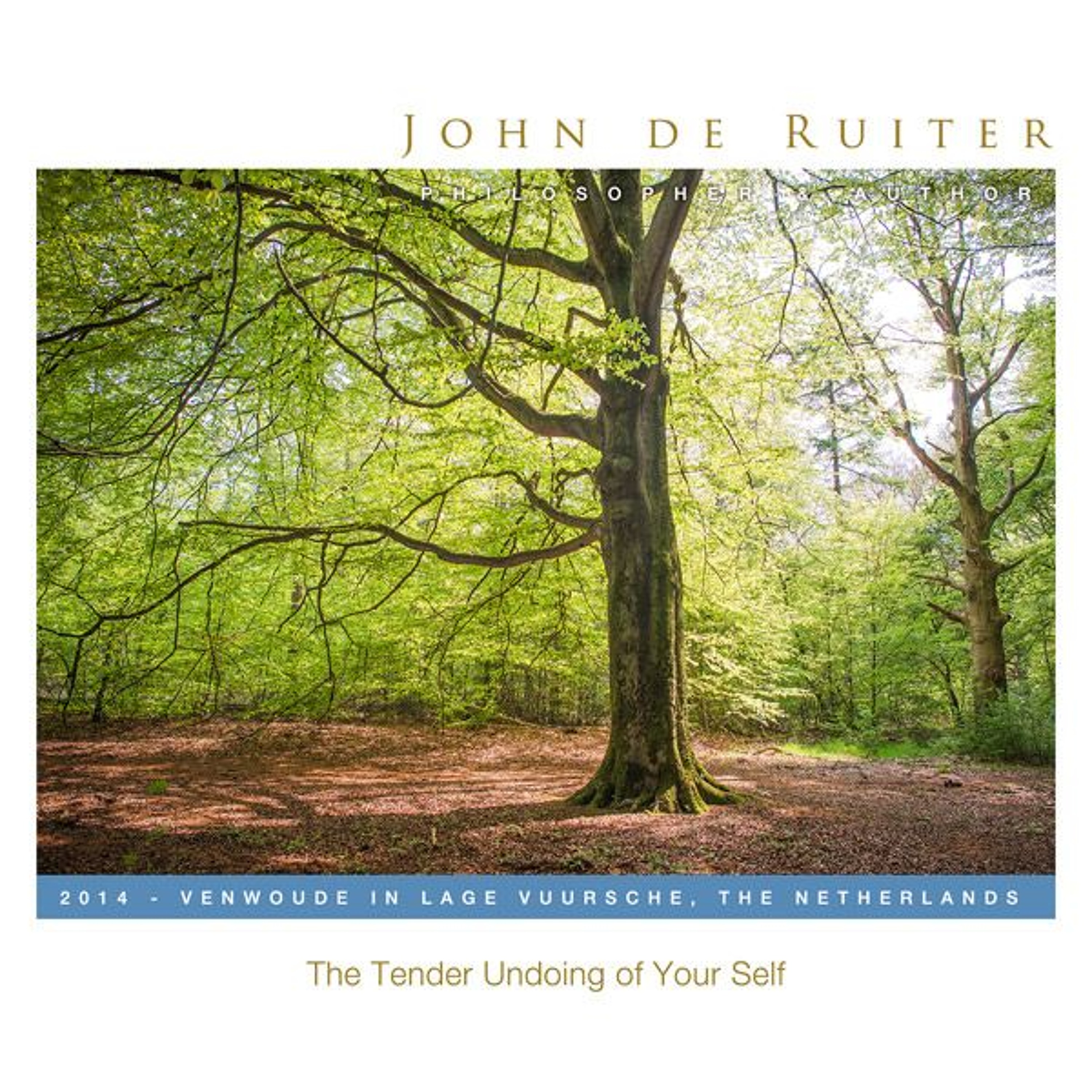230 - The Tender Undoing of Your Self - 2 of 4 episode artwork