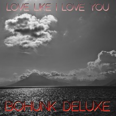 Love Like I Love You