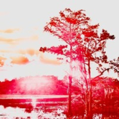 The Light Gets In (Lyrics/vocals by Marco Z.)