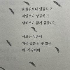 이번 겨울까지만 사랑할게