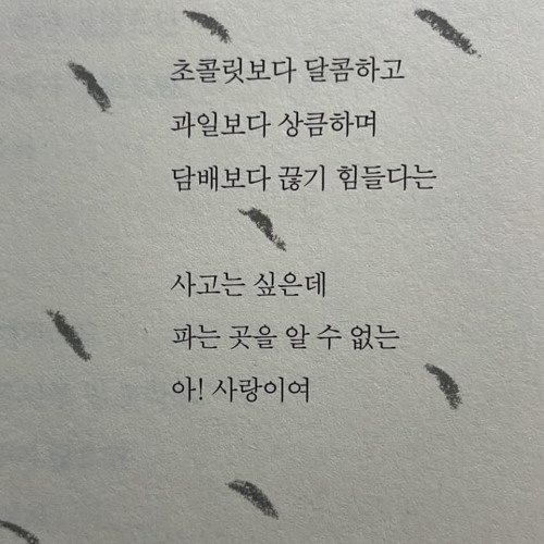이번 겨울까지만 사랑할게