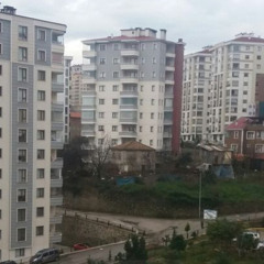 MALAGA ROTTER - PATO