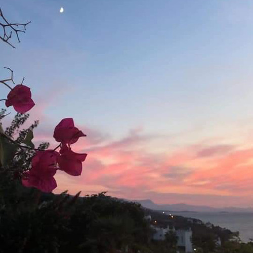 4rif III. Roses by 𝙧𝙚𝙩𝙩𝙧𝙖𝙘𝙩𝙖𝙗𝙡𝙚♡ Free Listening on SoundCloud