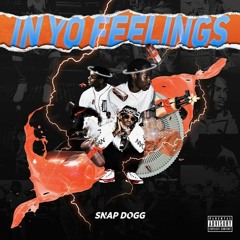 Snap Dogg  - " In Your Feelings" (Prod.Samba beatz)