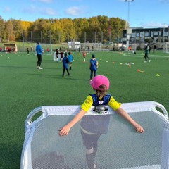 Head North to Strawberry Arena Dobblarna