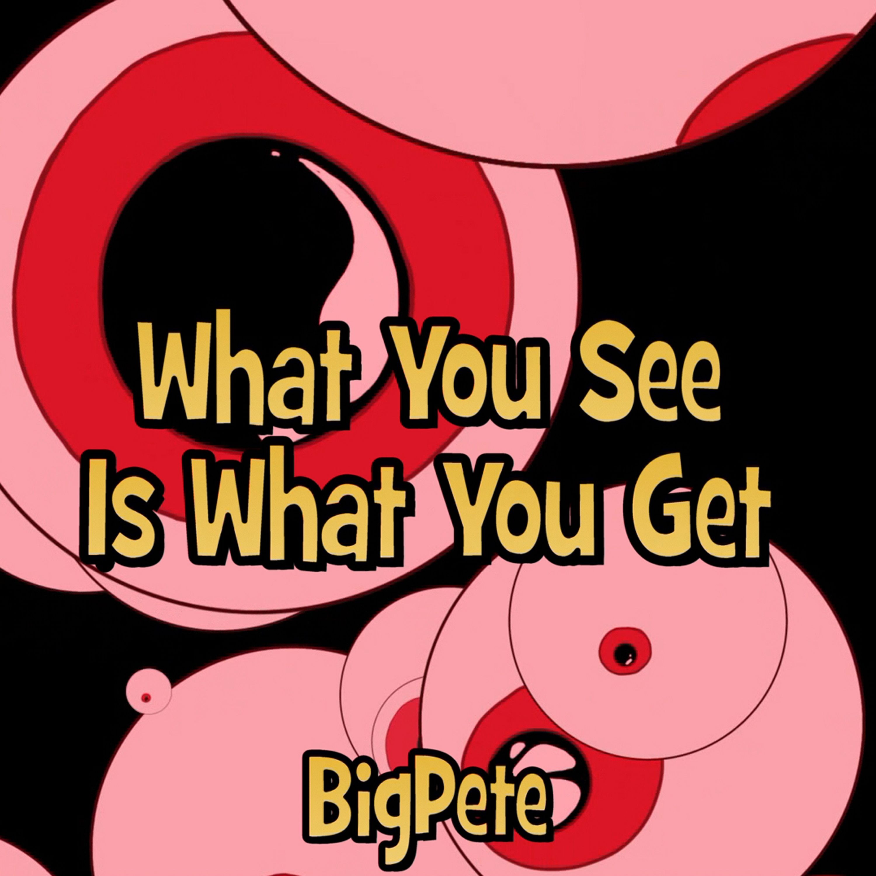 What You See Is What You Get episode artwork