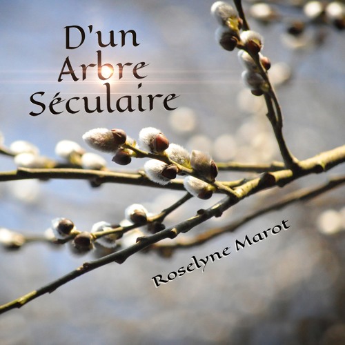 Stream Jésus Ton Nom Est Le Plus Beau Instrumental Version By