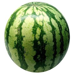 watermelon bootyhole