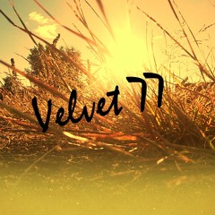 Velvet 77