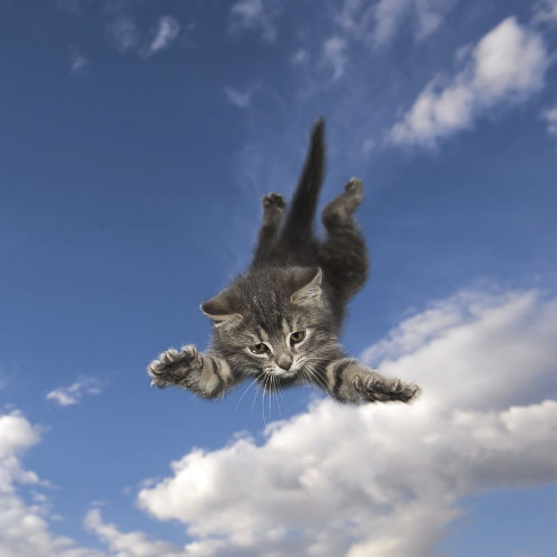 sped team (p. @lbpr0d)