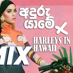 Harleys In Hawaii X Anduru Yaame (Original Mix)