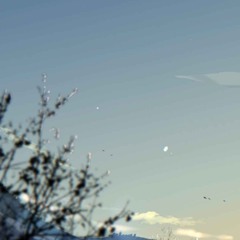 touch the sky