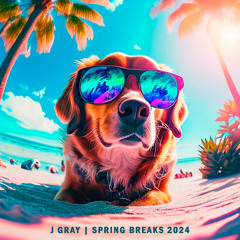 SPRING BREAKS 2024