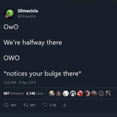 Slimecicle Furry Song