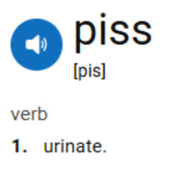 お漏らし (URINATION NATION)