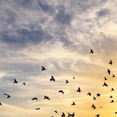 يناير قبل قطع البث بصوت محمد جمال.mp3