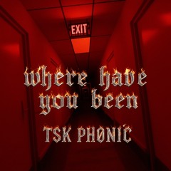 Where have you been T̷S̷K̷ ̷P̷H̷Ø̷N̷I̷Č̷ ̷R̷E̷M̷I̷X̷