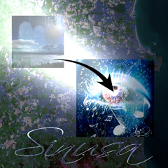 sinusa (ópax remix)
