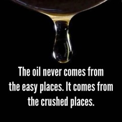 Psalms 8:26 SON OF YAHUDAH  X Stompa -SUBSTANCE x DETOUR