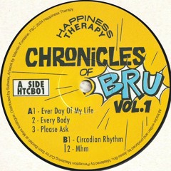 Jesse Bru - Chronicles Of Bru Vol. 1 (HTCB01)
