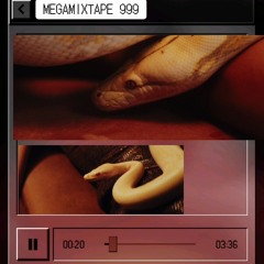 Year Of The Snake