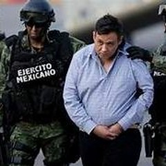 Gully Gang -Free Chop Da Kook Ft. Chop Da Kook