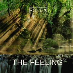 Röhlix - The Feeling [165Bpm]