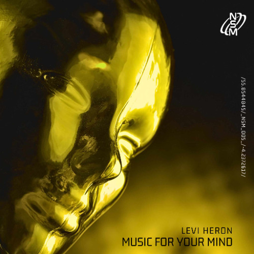 Levi Heron - Music for your Mind