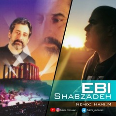 Shabzadeh (Hami. M Remix)