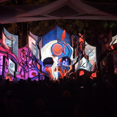 Festival Live Set Australia I Antigravity 2025 I B2B WHIRO